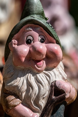 Zwergenbaum