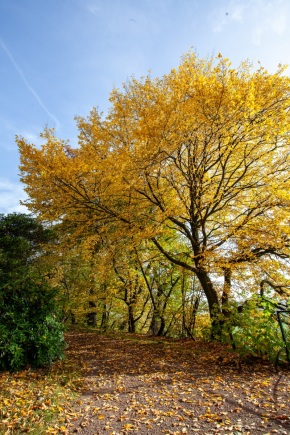 Emmerthal-20121020-110917-IMG_2012-10-20-11-09-17_57731