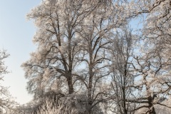 Steintisch auf dem Ohrbergpark