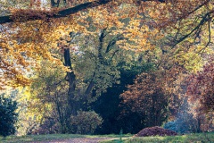 Orbergpark