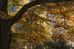 Ohrbergpark