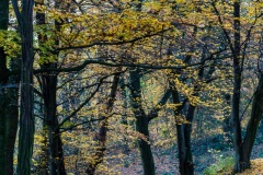 20151102-154707-ING_2015-11-02-15-47-07_69945