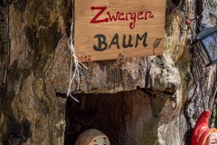Zwergenbaum