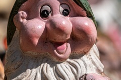 Zwergenbaum