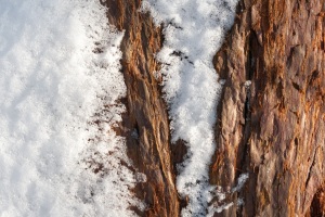 Schnee