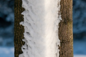 Emmerthal-20090111-132807-IMG_2009-01-11-13-28-07_30728