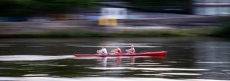 Ruderer auf der Weser
