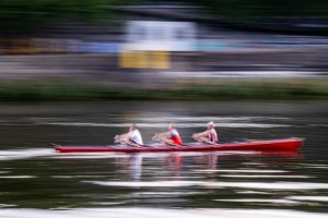 Ruderer auf der Weser