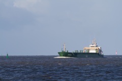 MV Emsrunner