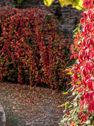 20191013-143636-_A130036