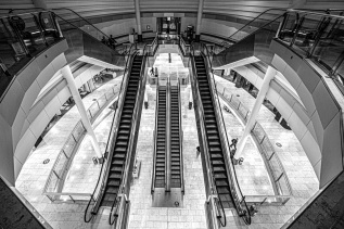 20201010-193323-_A103332