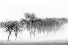 Bodennebel