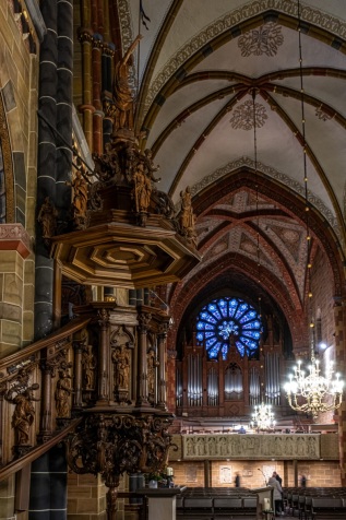 20231117-162424-DSCF4855