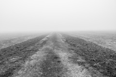Nebel