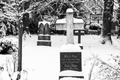 Hameln-20260126-112833-DSCF4197