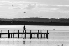 Steinhuder Meer