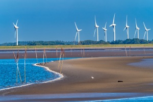 Norderney-20220811-183944-_8110480