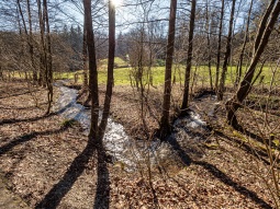 Blutbach im Süntel