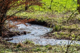 Hess.-Oldendorf-20190406-144520-_4060155