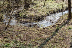 Süntel