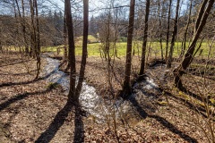 Blutbach im Süntel