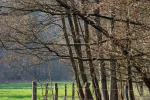 Hess.-Oldendorf-20190406-150857-_4060240