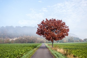 Weserradweg