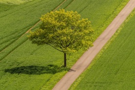 Weserradweg