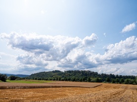 Ernte