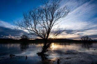 20250127-162304-DSCF6668