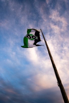 Hannover 96