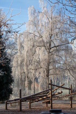 Hameln-20161204-113906-ING_2016-12-04-11-39-06_79847