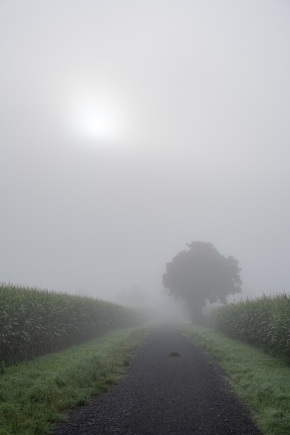 Nebel