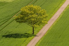 Weserradweg