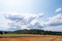 Ernte