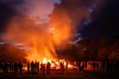 Hameln-20260405-200728-_4050371