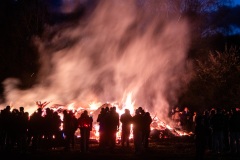 Hameln-20260405-210147-DSCF5105