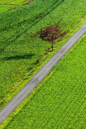Weserradweg