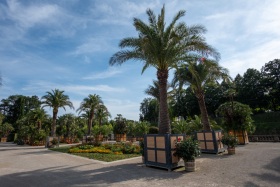 Palmengarten