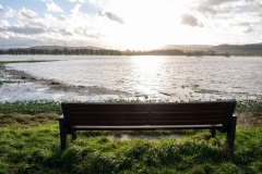 Hameln-20231226-143608-DSCF5445