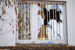Fenster