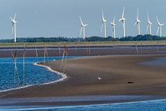 Windkraftanlagen an der Küste