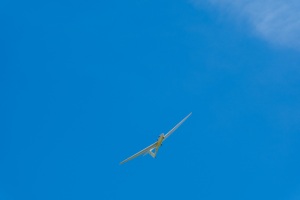 Segelflugzeug