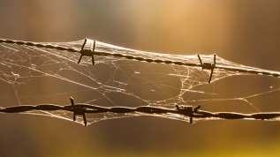 20151101-164101-ING_2015-11-01-16-41-01_69824