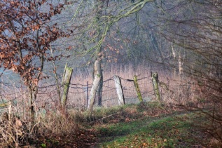 20250201-112325-DSCF6761