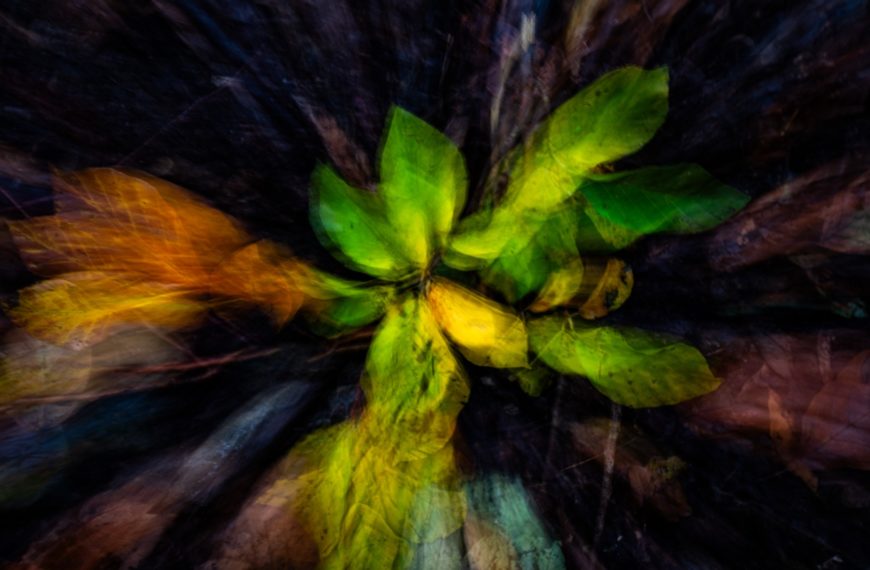 Intentional Camera Movement