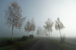 Nebel