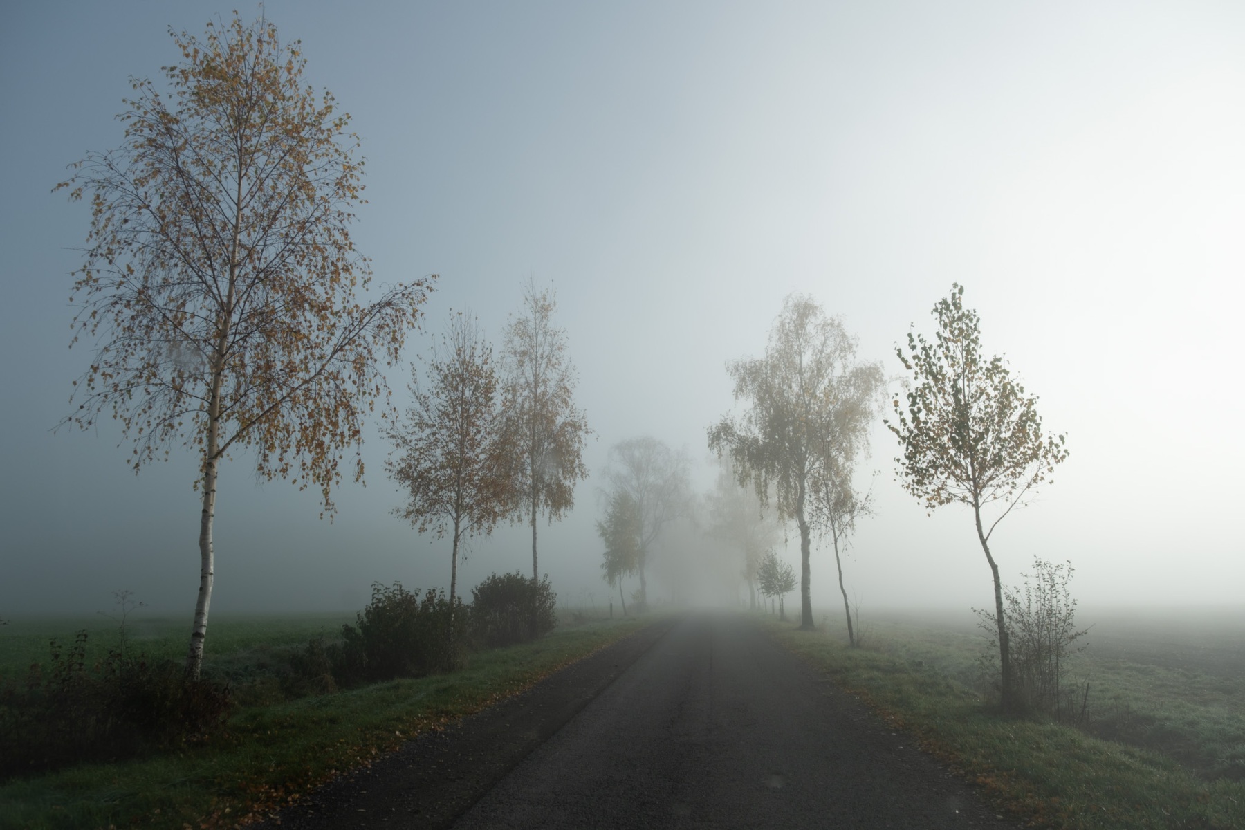 Nebel