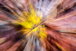 Intentional Camera Movement (ICM)